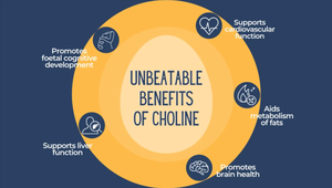 The Role of Choline in Liver and Brain Function