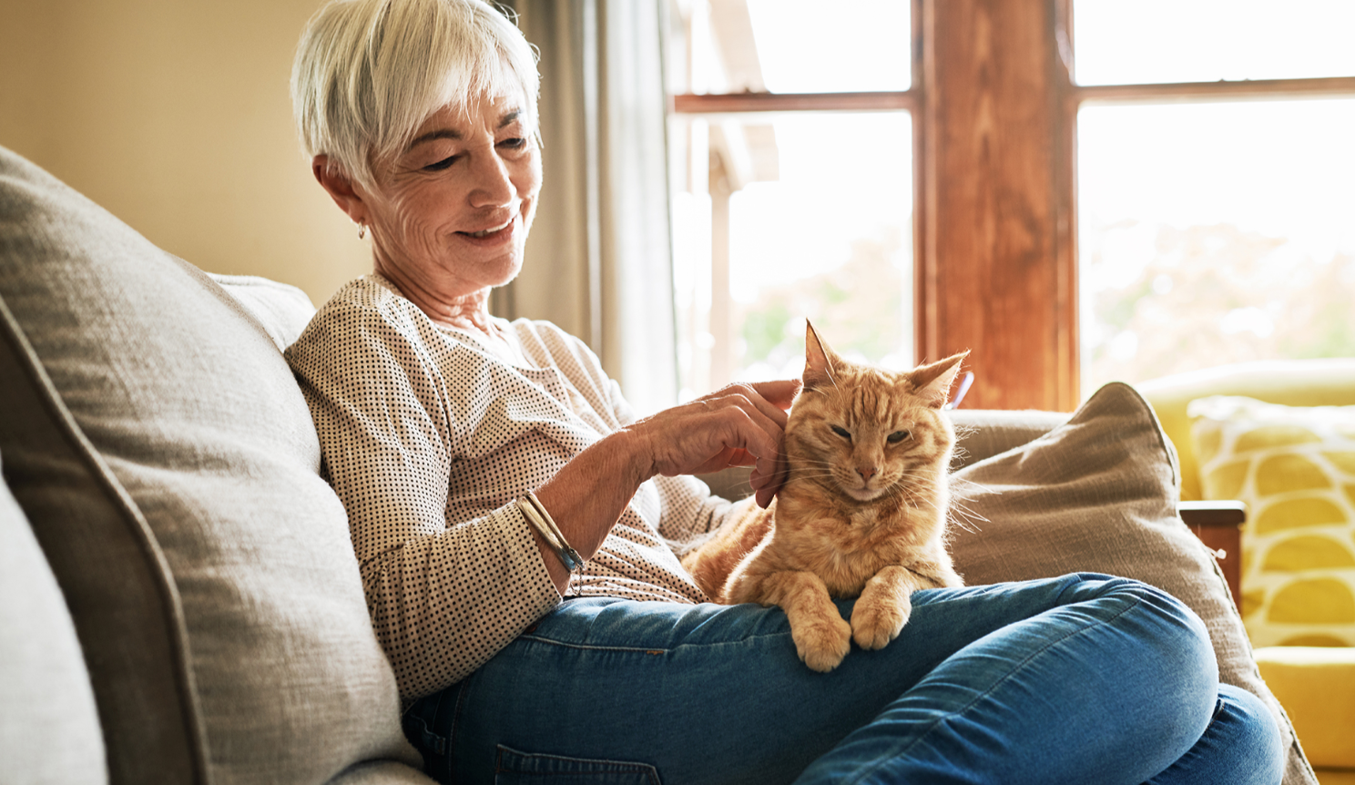 The Best Companion Pets for Seniors