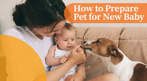 How to Prepare Your Pet for a New Baby